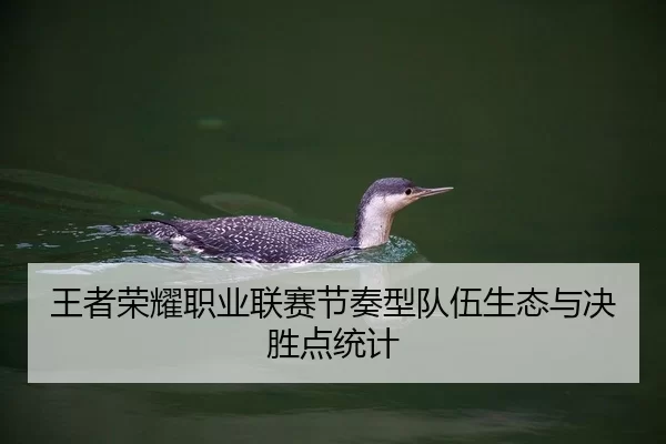 王者荣耀职业联赛节奏型队伍生态与决胜点统计